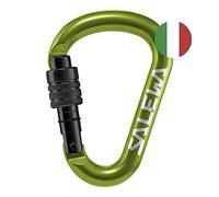 Mousqueton Salewa HMS Screw G2 vert noir - M