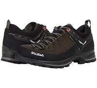 Salewa Homme MTN Trainer 2 GTX Chaussures