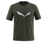 Salewa Solidlogo Dri-release® Short Sleeve T-shirt Vert L Homme