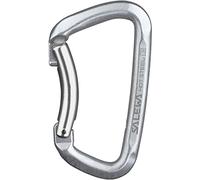 Salewa Mousqueton Hot Steel Bent – Acier courbé