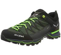Salewa Chaussures Basses MTN Trainer Lite GORE-TEX vert Taille 41