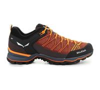 Salewa Mountain Trainer Lite Homme