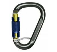 Salewa Mousqueton Belay Twist Lock Karabiner gris bleu