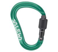 Salewa Mousqueton HMS Ortles M vert irlandais
