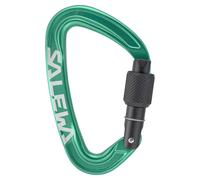 Salewa Mousqueton Ortles Screw