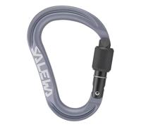 Salewa Ortles HMS M Carabiner, Grey, UNI