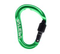 Salewa Ortles HMS M Carabiner, Irish Green, UNI