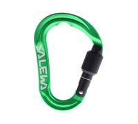 Salewa - Ortles HMS S Carabiner - Mousqueton HMS - irish green