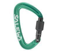 Salewa Ortles Screw Carabiner, Irish Green, UNI