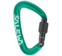 Salewa - Ortles Screw Carabiner - Mousqueton à vis - irish green