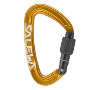 Salewa Ortles Screw Carabiner, Orange, UNI