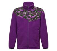 Salewa - Polaire douce et chaude - Eagle Anniversary FZ Jkt U Plum - Taille M - Violet Violet M