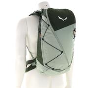Salewa Puez 25l Sac à dos 25 Vert foncé olive