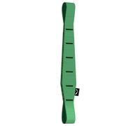 Salewa - Ortles QD Sling 170 - Sangle de dégaine - 170 mm - black / irish green