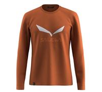 Salewa Solidlogo Dry´ton Long Sleeve T-shirt Marron L Homme
