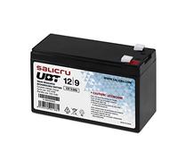Salicru Batterie SAI UBT 013BS-02 12 V 9 Ah AGM Acide de plomb
