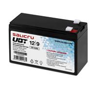 Salicru Batterie SAI UBT 013BS-02 12 V 9 Ah AGM Acide de plomb