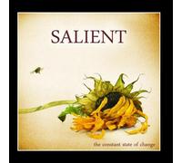 Salient - The Constant State of Change