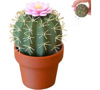 Salière et poivrière en forme de cactus, mini récipients à épices imprimés en 3D, ensemble de moulins à sel et poivre rechargeables pour la cuisine ou les épices en plein air