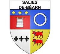 Salies-de-Béarn 64 ville Stickers blason autocollant adhésif - Taille : 8 cm