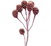 Salignum Mini-cônes givrés couleur mûre Branches décoratives 25 pièces pour fleurs séchées et couronnes mortuaires