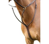 Salisbury - Martingale à anneaux pour chevaux (ER554)