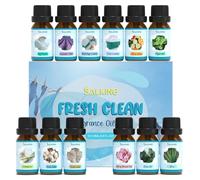 SALKING Faire le ménage Huiles Essentielles, 12x10ML citronnelle, coton frais, linge frais, savon à la cerise, air pur, aloe vera, talc, champ de lavande, lessive à la sauge de plage, linge frais etc.