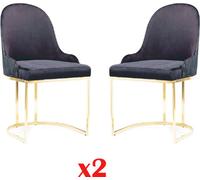 Salle à manger Meubles Set 2x Chaise Luxe Nouveau Bleu Nouveau Élégant Moderne Chaise Bois