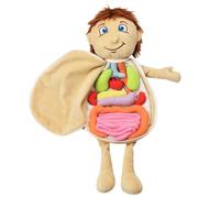 Salle De Sensibilisation Aux Organes Humains En 3d,Outils Fuchsia Pour La Maison,La Structure Du Corps,L'anatomie,L'apprentissage Des Jouets Scientifiques,Les Enfants D'âge Alth - Type Boy Body