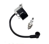 sallygardens Module de bobine d'allumage et bougie d'allumage pour souffleur de feuilles manuelle Stihl BG55 BG65 BG85 BG45 BG46 BR45 SH55 SH85 AM42 Remplace 4229 400 1300