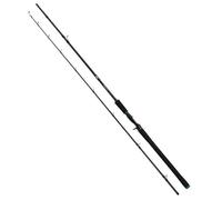 Salmo Canne Baitcasting Trollmaster