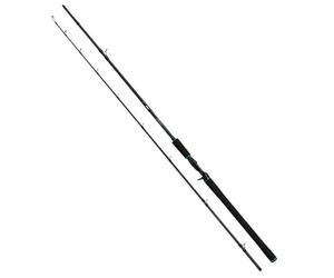 Salmo Canne Baitcasting Trollmaster