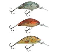 Salmo Crankbait Rattlin Hornet 8g 50 Mm