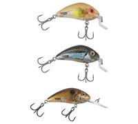 Salmo Crankbait Rattlin Hornet Shallow Runner 6g 45 Mm