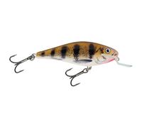 Salmo Executor Wobbler 12cm Flottante Ltd.Edition Appâts artificiels Brochet