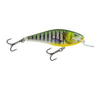 Salmo Executor Wobbler 12cm Flottante Ltd.Edition Appâts artificiels Brochet