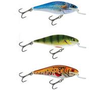 Salmo Minnow Executor Shallow Runner 120 Mm