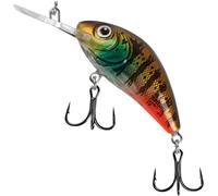 Salmo Rattlin Hornet Wobbler Leurre Pêche Carnassier flottant, couleurs Salmo : Hot Gill Clear, longueurpoidscomportement de courseprofondeur de plongée : 5,5 cm 10,5 g flottant 2-4 m
