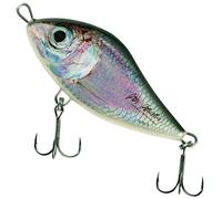 Salmo Slider Jerkbait Wobbler, couleurs Salmo : Baltic Herring PP, longueur/poids/comportement/profondeur de plongée : 12 cm / 70 g / descente / 2,0 à 1 m