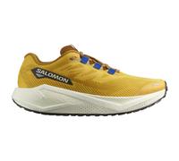 Salomon - Aero Blaze 3 Grvl - Chaussures de running - EU 42 - spicy mustard / vanilla ice / nautical blue