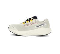 Chaussures Salomon Aero Blaze 3 Grvl GORE-TEX beige gris - 40