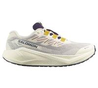 Salomon Aero Blaze 3 GRVL GTX - homme - Beige