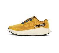 Chaussures Salomon Aero Blaze 3 Grvl jaune moutarde - 43(1/3)