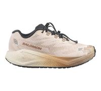 Salomon Aero Blaze 4 GRVL Chaussures de running 40 Marron