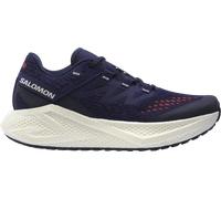 Salomon AERO GLIDE 3 GRVL Chaussures de running 46,7 Bleu