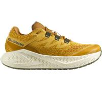 Salomon AERO GLIDE 3 GRVL Chaussures de running 47,3 Jaune