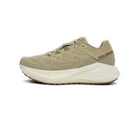 Salomon Aero Glide 3 GRVL Homme 42