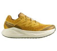 Salomon - Aero Glide 3 GRVL - Chaussures de running - EU 44 - spicy mustard / vanilla ice / deep lichen green