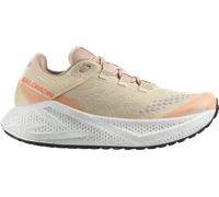 Salomon AERO GLIDE 3 GRVL W Chaussures de running 41,3 Marron