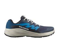 Salomon Alphaglide Gore-tex® Trail Running Shoes Bleu EU 41 1/3 Homme